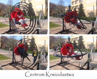 gyroscope