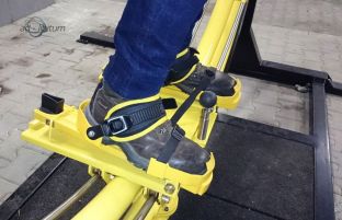 human gyroscope