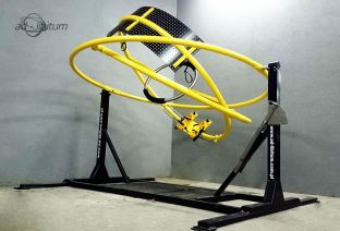 human gyroscope